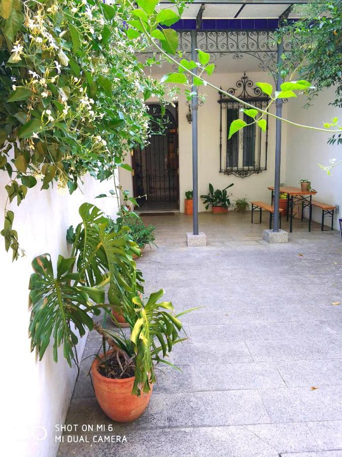 Apartment Alacas Sevilla Exteriér fotografie